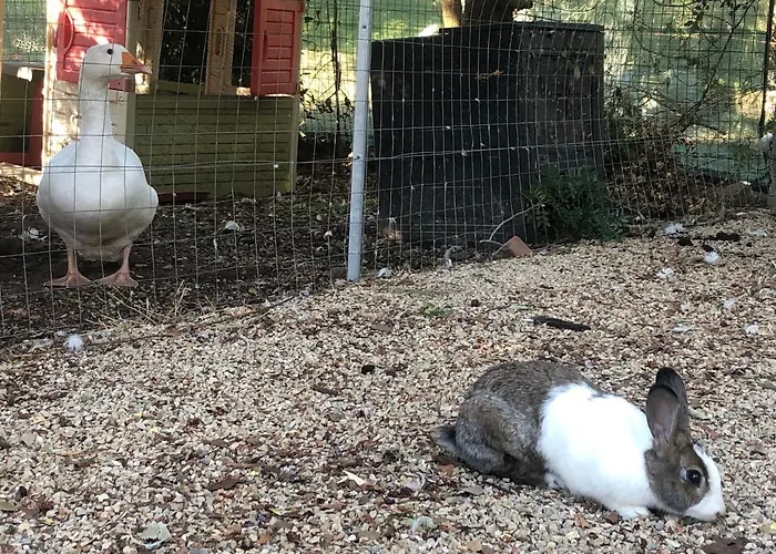 S'istria Country * Alghero