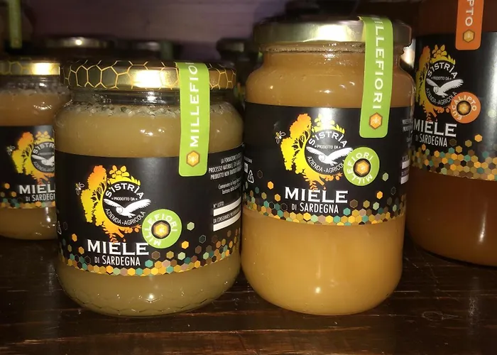 Oda ve Kahvaltı S'istria Country