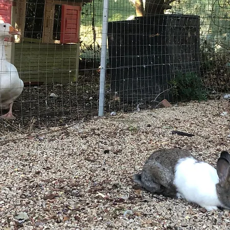 S'istria Country * Alghero