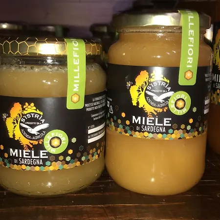 Bed & Breakfast S'istria Country